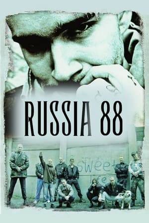 A gang of skinheads 'Russia 88' are filming propaganda videos in order to place it on the internet. At the same time the camera records the life of the gang, they become accustomed to this and stop paying attention to it. The leader of the gang 'Blade' discovers that his sister is dating a guy from the Caucausus. This family drama develops into a tragedy.