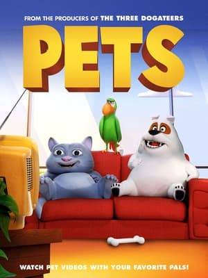 Join Bella the cat, Bagel the dog and the always-feisty Alvin the parrot for a fun and fact-filled afternoon watching their favorite show: Pets