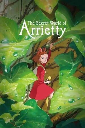 14-year-old Arrietty and the rest of the Clock family live in peaceful anonymity as they make their own home from items "borrowed" from the house's human inhabitants. However, life changes for the Clocks when a human boy discovers Arrietty.