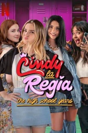 Cindy, a sharp and restless teenager, grows up happily in the high society of San Pedro Garza García in Nuevo León. When she and her longtime friends enter coeducational high school for the first time, Cindy questions the role of "princess" and the search for "prince charming" she's always been taught. In her freshman adventures, Cindy learns that pleasing others doesn't matter as much as finding herself.