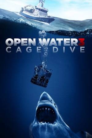 Three friends from California are filming an audition tape for an extreme reality game show. They document their journey to Australia where they will be doing their most dangerous activity.... Shark Cage Diving. A catastrophic turn of events leaves them in baited water full of Great White Sharks, turning their recording into a blood chilling diary of survival... and death.