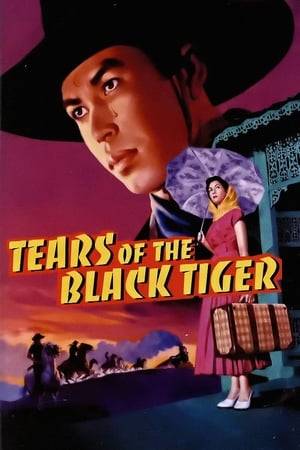 A homage and parody of 1950s and 1960s Thai romantic melodramas and action films.  Dum, the son of a peasant falls in love with Rumpoey, the daughter of a wealthy and respected family. The star-crossed lovers are torn apart for years, but their forbidden love survives.  When tragedy strikes, Dum unleashes his rage and becomes the gun-slinging outlaw the "Black Tiger" who will stop at nothing to seek his revenge.