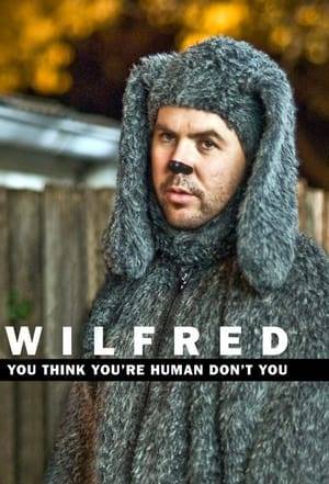 Wilfred is an Australian comedy television series directed by Tony Rogers, produced by Jenny Livingston and starring Jason Gann, Adam Zwar and Cindy Waddingham. Created by Zwar, Gann and Rogers, it was based on their award-winning 2002 short film and later adapted to a series. The story follows the lives of the eponymous dog Wilfred, his owner Sarah, and her boyfriend Adam, who sees Wilfred as a man in a dog suit.

Two seasons were broadcast on SBS One – the first in 2007 and the second in 2010. The series won three AFI Awards and was nominated for a Logie.

Independent Film Channel acquired the international broadcast rights to the original two seasons of Wilfred in 2010. A U.S. version premiered on the cable channel FX on 23 June 2011.