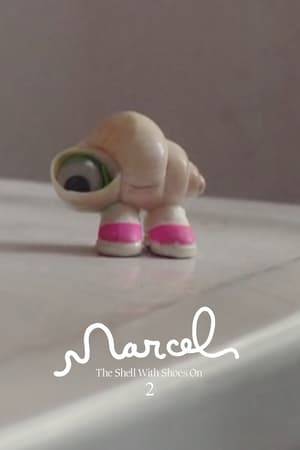 Marcel the shell is out of sight.