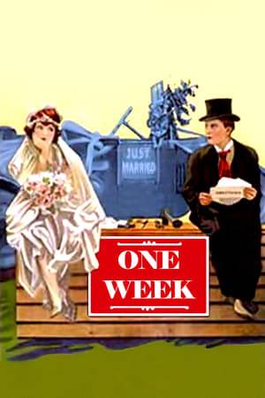 The story involves two newlyweds, Keaton and Seely, who receive a build-it-yourself house as a wedding gift. The house can be built, supposedly, in "one week." A rejected suitor secretly re-numbers packing crates. The movie recounts Keaton's struggle to assemble the house according to this new "arrangement."