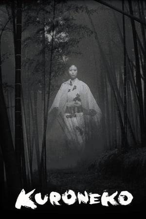 In the Sengoku period, a woman and her daughter are raped and murdered by soldiers during a time of civil war. Afterwards, a series of samurai returning from the war through that area are found mysteriously dead with their throats torn out. The governor calls in a wild and fierce young hero to quell what is evidently an Onryō ghost. He encounters the two beautiful women in an eerie, beautiful scene. After spiritual purification, he meets the demon in a thrilling fight.