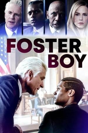 A lawyer finds himself at the center of a trial in which a for-profit foster care agency puts a known sex offender into the same foster home as his young client Jamal, which leads to catastrophic results.