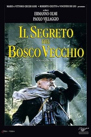 It tells the story of a general who is about to cut down an old forest for the sake of financial gain, but discovers that the forest is inhabited by invisible spirits