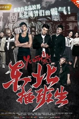 Wang-Hu, son of a gang boss in Shenyang, transfers  to a  high school in Taiwan. These school is full of  delinquents and Wang-Hu quickly gets into trouble with two rivaling gangs .