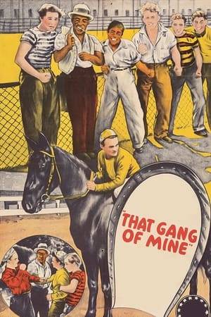 A street kid has dreams of becoming a jockey. He gets his chance when he and his gang discover a poor old man who has a championship race horse. The man agrees to let the boy ride his horse in a race, but first the gang must get enough money to pay for the race's entry fees.