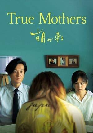 After a long and unsuccessful struggle to get pregnant, convinced by the discourse of an adoption association, Satoko and her husband decide to adopt a baby boy. A few years later, their parenthood is shaken by a threatening unknown girl, Hikari, who pretends to be the child's biological mother. Satoko decides to confront Hikari directly.