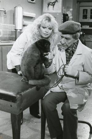 Gloria is an American situation comedy that lasted one season on CBS, from September 1982 to April 1983. It starred Sally Struthers, reprising her role as Gloria Stivic, the daughter of Archie Bunker on the hugely successful 1970s sitcom All in the Family. Gloria was a spin-off of Archie Bunker's Place, which was a continuation of All in the Family.