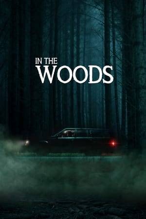 A worried father and his teenager daughter face inexplicable, threatening incidents when their car unexpectedly breaks down in the supposedly deserted woods.