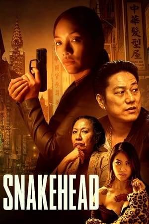 Sister Tse is brought to New York by a Snakehead, a human smuggler. Although she is indebted to the crime family responsible for her transport, her survival instincts help her gain favor with the matriarch, and she rises quickly in the ranks. Soon Tse must reconcile her success with her real reason for coming to America—to find the child that was taken from her. In the end, Sister Tse must draw on the strength she found in transforming her victimhood into power.