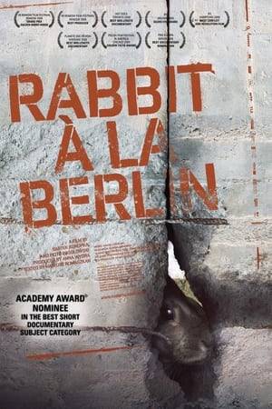 The untold story about wild rabbits which lived between the Berlin Walls. For 28 years Death Zone was their safest home. Full of grass, no predators, guards protecting them from human disturbance. They were closed but happy. When their population grew up to thousands, guards started to remove them. But rabbits survived and stayed there. Unfortunately one day the wall fell down. Rabbits had to abandon comfortable system. They moved to West Berlin and have been living there in a few colonies since then. They are still learning how to live in the free world, same as we - the citizens of Eastern Europe.