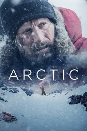 A man stranded in the Arctic is finally about to receive his long awaited rescue. However, after a tragic accident, his opportunity is lost and he must then decide whether to remain in the relative safety of his camp or embark on a deadly trek through the unknown for potential salvation.