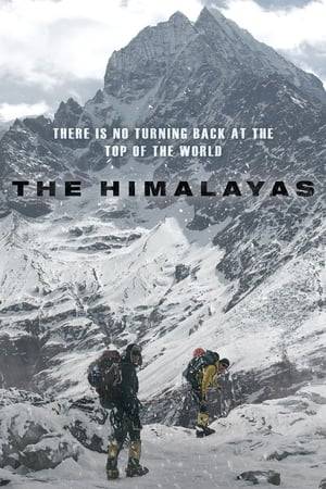 Based on true events, renowned mountaineer Um Hong-gil sets out on a mission to Everest to retrieve his late junior climber's body and faces the greatest challenge of his life.