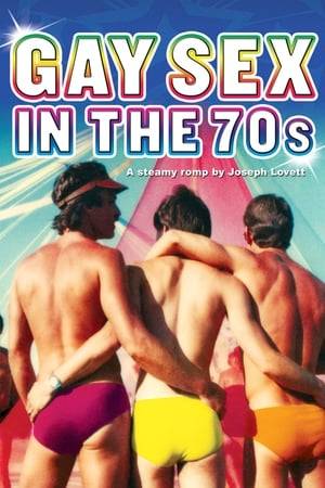 A chronicle of gay culture in New York during the post-Stonewall, pre-AIDs era. Thirteen men and one woman look back at gay life and sex in Manhattan and Fire Island - from Stonewall (June, 1969) to the first reporting on AIDS (June, 1981). They describe the rapid move from repression to celebration, from the removal of shame to joy, the on-going search for "someone," the freedom before AIDS, the friendships, and brotherhood.