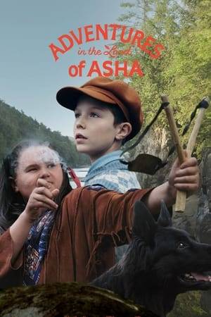 On a cold winter's day in 1940, Jules and his family move to live with his uncle, mayor of a settler's village in northern Quebec. He is banned from school because of his rare skin disease. From that moment on, his greatest wish is to be cured. When his dog Spark runs away into the wild forest, Jules has no choice but to look for him. On his way, he meets Asha, a mysterious young indigenous girl. Together, they venture to the other side of the forest, where nature reveals itself full of life and secrets.