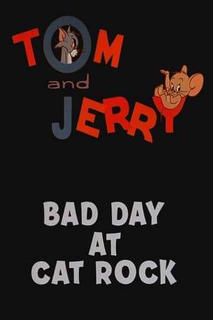 Tom and Jerry are on a building construction site. Things explode, Tom loses his fur for a while, Jerry hides in a glove, Tom falls from a great height, and Tom has great trouble with a rock-and-girder see-saw.