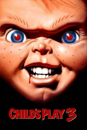 Eight years after seemingly destroying the killer doll, teen Andy Barclay is placed in a military school, and the spirit of Chucky returns to renew his quest and seek vengeance after being recreated from a mass of melted plastic.