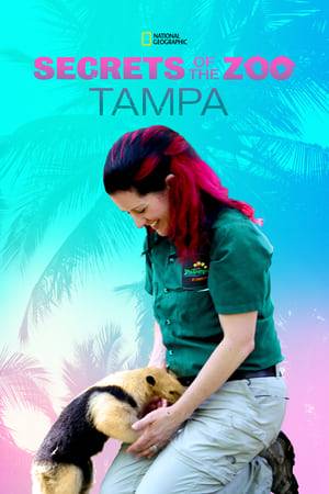 Embrace the wild side of the Sunshine State with a stellar zoo team devoted to the exotic cast of animals.