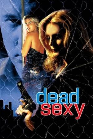 A female detective gets involved with a murder suspect in a series of serial killings.