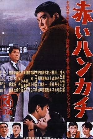 A hot-shot detective in Yokohama kills a witness during a drug investigation. He flees to the countryside and evades his past for several years, only to return to find the woman he loved married to his former partner. He searches for answers to his troubled past, knowing that his inevitable doomed fate is more or less sealed.