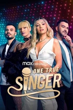 Fourteen up-and-coming Romanian musicians, singers, and songwriters live and train together as they battle it out for a once-in-a-lifetime record deal and a cash prize.