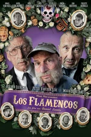 Los Flamencos is a comedy about death. Starring Herwig Illegems, Peter Van den Eede and Mark Verstraeten.
