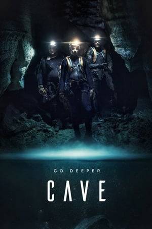A group of former military elites set out to explore an uncharted abyss, not knowing their worst nightmare is waiting for them deep beneath the ground.