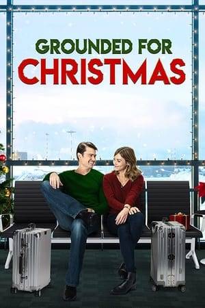 When a winter storm hits Cleveland and grounds flights, the nearby hotels quickly fill up with stranded travelers. Nina, a pilot, reluctantly agrees to let her arrogant but charming fellow pilot, Brady, stay at her nearby parents' home. But when they discover her family is hosting a tree trimming party that night and that her ex will be there, Brady pretends to be her boyfriend to help her out.
