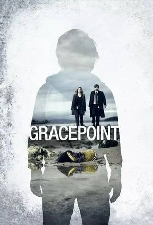 When a young boy is found dead on an idyllic beach, a major police investigation gets underway in the small California seaside town where the tragedy occurred. Soon deemed a homicide, the case sparks a media frenzy, which throws the boy's family into further turmoil and upends the lives of all of the town's residents.