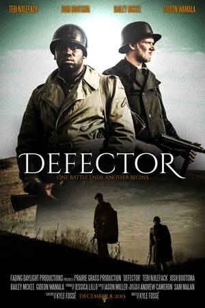Two deserters from opposing armies find themselves traveling together through west Germany near the end of World War Two.