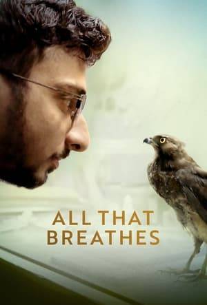 Against the darkening backdrop of New Delhi's apocalyptic air and escalating violence, two brothers devote their lives to protecting one casualty of the turbulent times: the bird known as the black kite.