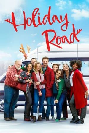 A travel writer, a tech entrepreneur, a devoted mother and more strangers are stranded at the airport for the holidays, they rent a van for an unexpected road trip.