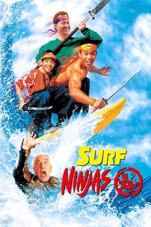 Two Asian-American "surfer-dude" brothers discover they are the long lost princes from a China Sea Island. Part of their inheritance includes magically-induced martial arts prowess and seeing the future. Using their new powers, they act to overthrow the island's current dictator, a despotic madman with a metal face!