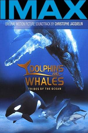 This documentary goes to coral reefs of the Bahamas and the waters of the Kingdom of Tonga for a close encounter with the surviving tribes of the ocean: wild dolphins and belugas, the love of a Humpback mother for her newborn calf, the singing Humpback males, an orca the mighty King of the ocean, and the gentle manatee. Little-known aspects of these creatures capable of sophisticated communication and social interaction. Documents the life of these graceful, majestic yet endangered sea creatures
