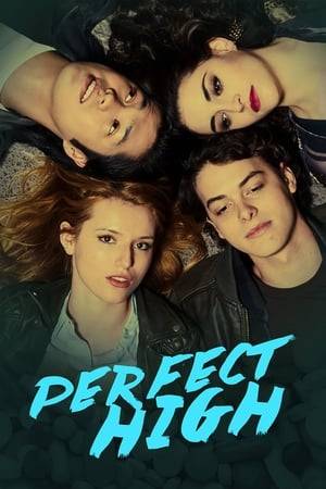 Sweet suburban teen Amanda is introduced by her new friends to prescription drug-sharing, but the recreational fun soon leads her to a life-altering heroin addiction.