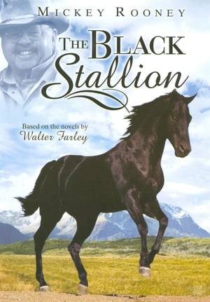 Experience the magic of author Carroll Ballard's timeless tale all over again as screen star Mickey Rooney returns to the role that earned him his fourth Academy Award nomination, and follow the further adventures of the Black Stallion as based on Walter Farley's continuation of the series. Veteran horse trainer Henry Dailey (Rooney) sees boundless potential in young jockey Alec Ramsay (Richard Ian Cox), and as the two prepare to take Black Stallion to France to race in the Prix de Chantilly, an unforeseen tragedy forces Alec's French friend Nicole (Marianne Filali) to abandon the race in favor of caring for her ailing mother. As Alec and Henry prepare for the Prix de Chantilly, their situation is complicated by a series of shady businessmen and devious gamblers who are desperately attempting to fix the race.