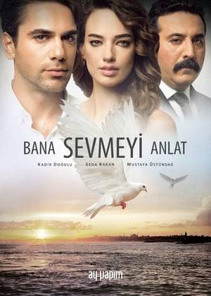 After divorcing, Leyla and her baby move to Turkey from Germany. She struggles to find a job and leave her family's house. She meets Hasmet through a job. Meanwhile Alper tries to keep up. His marriage and job are in trouble. Alper and Leyla meet unexpectedly through a sucker punch.