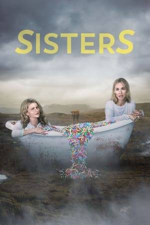 Two women, one born in Canada and the other in Ireland, discover they are half-sisters and embark on a road trip to find their alcoholic father.