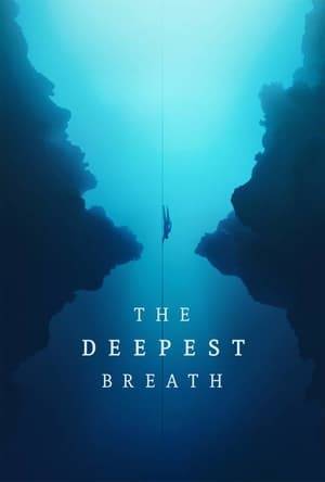 A champion freediver and expert safety diver seemed destined for one another despite the different paths they took to meet at the pinnacle of the freediving world. A look at the thrilling rewards — and inescapable risks — of chasing dreams through the depths of the ocean.