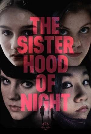 When a teenage girl says she's the victim of a secret network called The Sisterhood of Night, a quiet suburban town becomes the backdrop for a modern-day Salem witch trial.