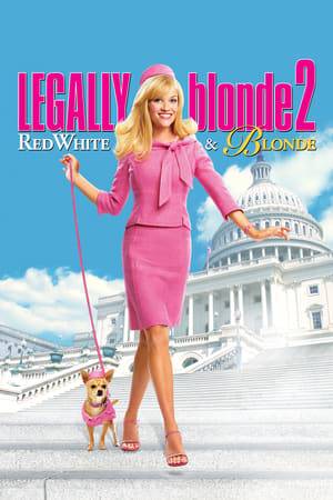 Now a rising young lawyer, Elle Woods is about to make partner at her firm, but when she finds out her dog's relatives are being used as cosmetic test subjects, she heads to Washington D.C. to fight for animal rights.