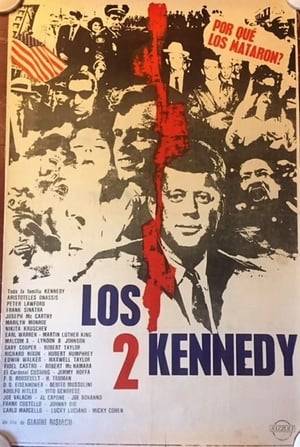 Life, career and death of the two protagonists of American life sixties, John and Robert Kennedy, from the days of their ascent to the White House, the first as president, the second as a minister of justice, to the death.