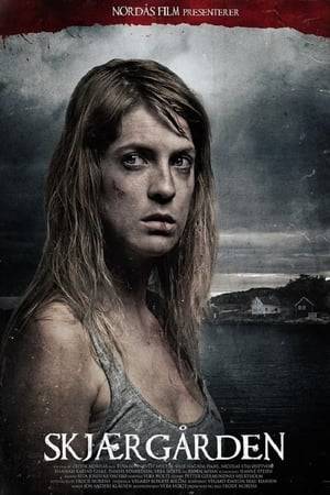 The summer of 2004, three teens are involved in a boat accident and an unknown girl ends up dead. Ten years later, the same group plus some others, travel to their summer cabin where the dark deeds of their past starts haunting them. Dangerous water skiis and a crazy person attacks them, and nobody knows why.