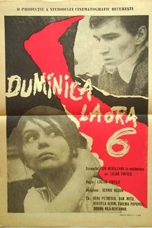 Romania, 1940. A boy meets a girl. They fall in love without suspecting anything about their real identities. They chose an eventful, tense and dangerous life as underground anti-fascists fighters. The significance of their activity is manifest in the consequences it has on the tormented progress of their love. Reality is against it. Two parallel lines which meet for a second, only to drift apart for ever.