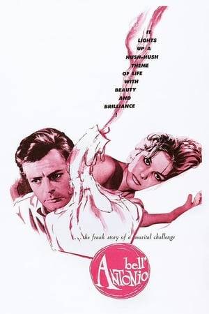 Problems arise for Antonio Magnano when he is unable to consummate his marriage to the beautiful Barbara Puglisi and his virility is called into question. Despite the fact that he loves his beautiful wife and they have otherwise been happily married for a year, his problem becomes a source of contention for all concerned.