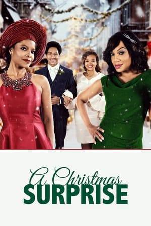 A mother gets a Christmas surprise when her daughter announces she's engaged. Now the holiday is thrown into chaos as she deals with her less-than-impressive and soon-to-be son-in law, his overbearing mother and an impending wedding.